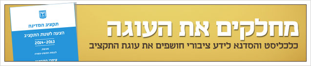 מחלקים את העוגה